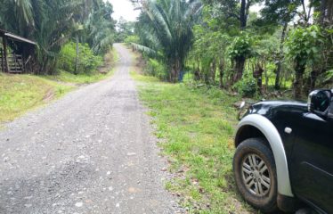 Se vende finca – El barro – Turrubares