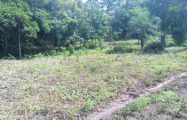 Se vende finca – El barro – Turrubares