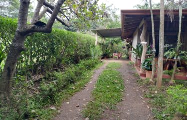 Se vende lote con casa – Orotina