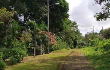 Se vende finca de 15 has – Canalete Upala