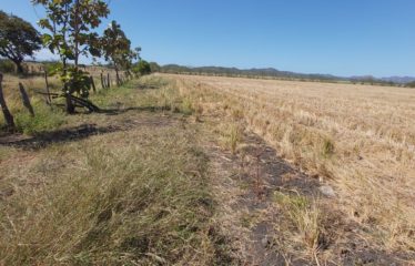 Se vende finca de 7.5 has – La Piragua