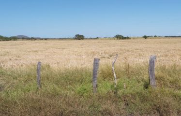 Se vende finca de 7.5 has – La Piragua