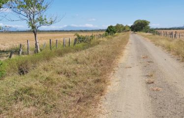 Se vende finca de 7.5 has – La Piragua