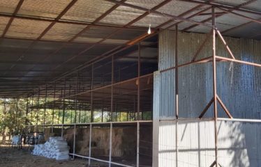 Se vende finca 42has – Bagaces