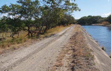 Se vende finca 42has – Bagaces