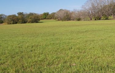 Se vende finca de 4 has – Cañas Dulces Liberia