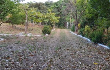 Se vende Quinta en Nicoya – Nambí