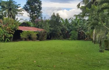 Se vende finca – Dos Ríos de Upala