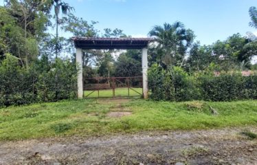 Se vende finca – Dos Ríos de Upala