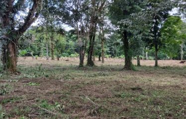 Se vende finca – Dos Ríos de Upala