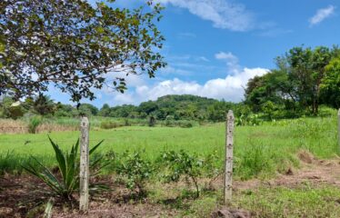 Se vende Lote – Buena Vista, Liberia