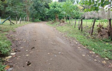 Se vende lote – Playa Matapalo