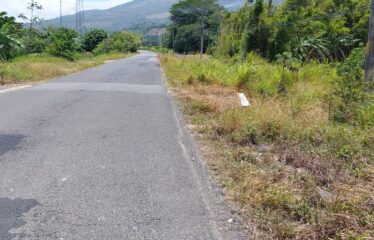 Se vende lote en Guayabo de Bagaces