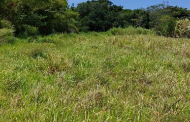 Se vende lote en Guayabo de Bagaces