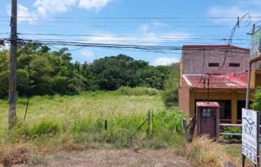 Se vende lote en Guayabo de Bagaces