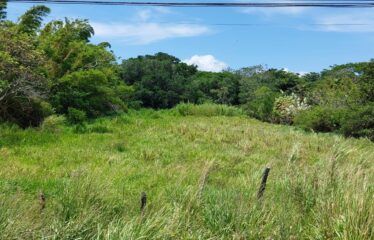 Se vende lote en Guayabo de Bagaces