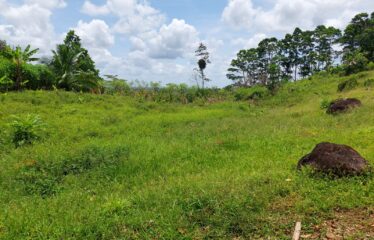 Se vende finca en San Luis de Upala