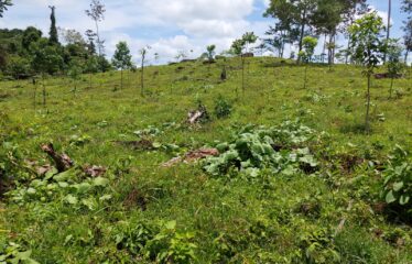 Se vende finca en San Luis de Upala