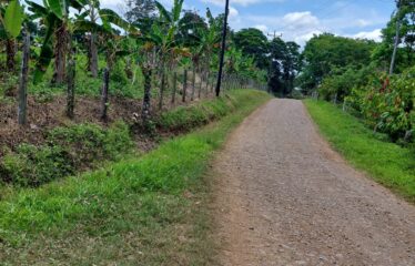 Se vende finca en San Luis de Upala