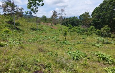 Se vende finca en San Luis de Upala